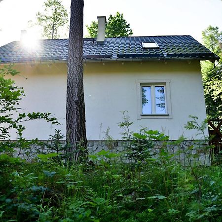 Gorski Domek Kolo Karpacza- Apartamentuj Eksteriør billede