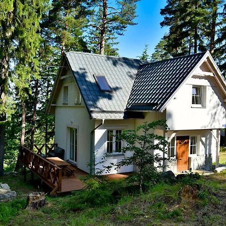 Gorski Domek Kolo Karpacza- Apartamentuj Eksteriør billede