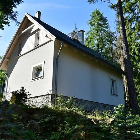 Gorski Domek Kolo Karpacza- Apartamentuj Eksteriør billede