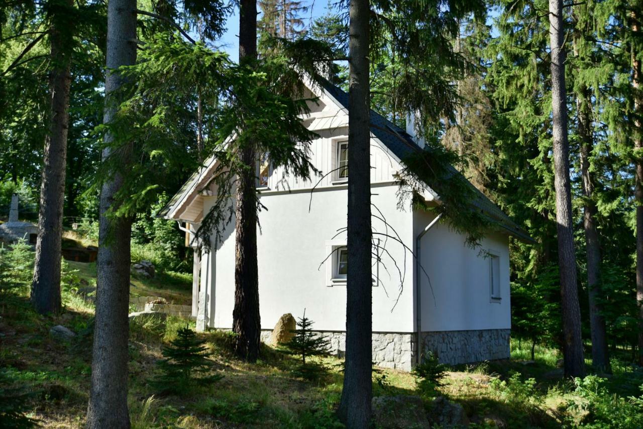 Gorski Domek Kolo Karpacza- Apartamentuj Eksteriør billede